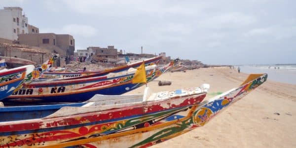 Migration reflections with Africa at the centre: an interview with Badara Ndiaye